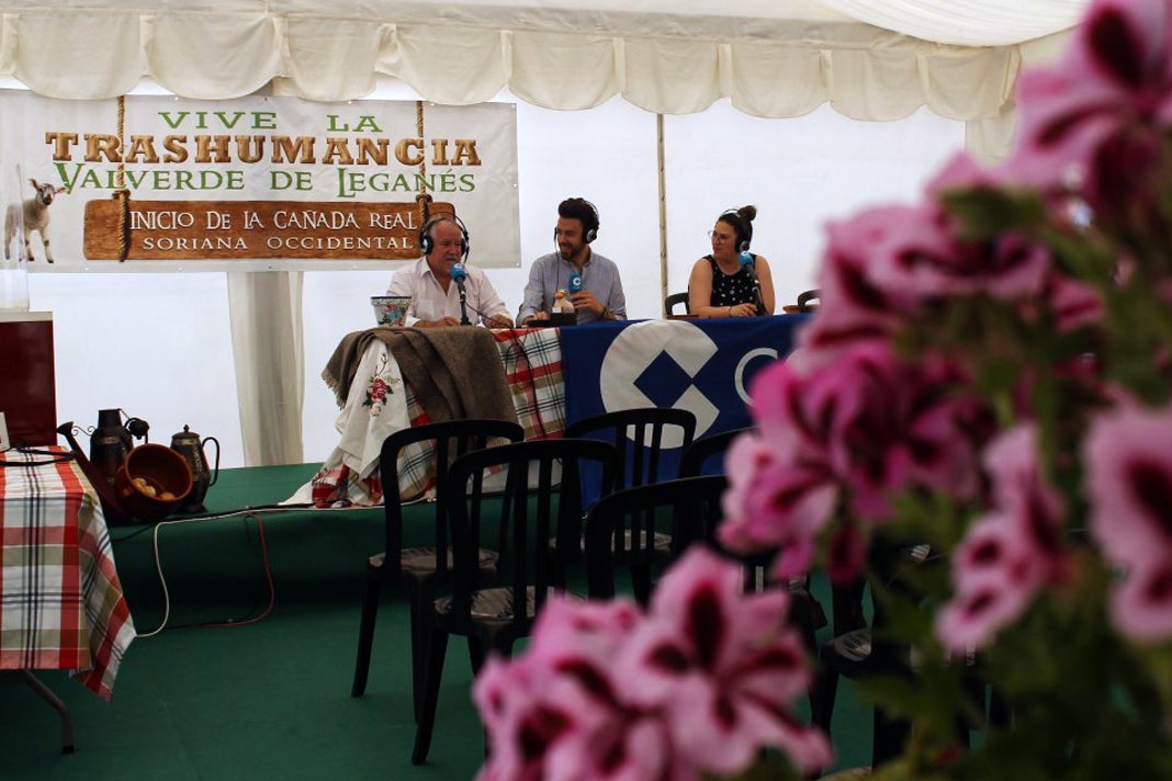 XI Vive la Trashumancia y III Feria del Queso Artesano (I)