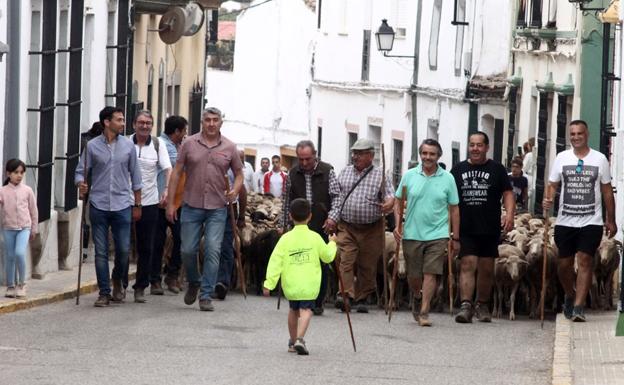 Imágenes del domingo de 'Vive la Trashumancia' y 'Feria del Queso Artesano'