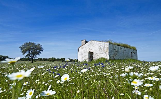 El próximo 19 de junio, nueva visita al Parque Arqueológico y Natural El Rebellao