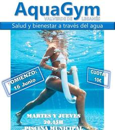 El próximo 16 de junio comienzan las clases de AquaGym