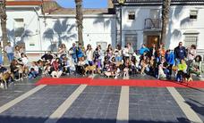 Amaval celebra la tercera edición del Desfile Canino