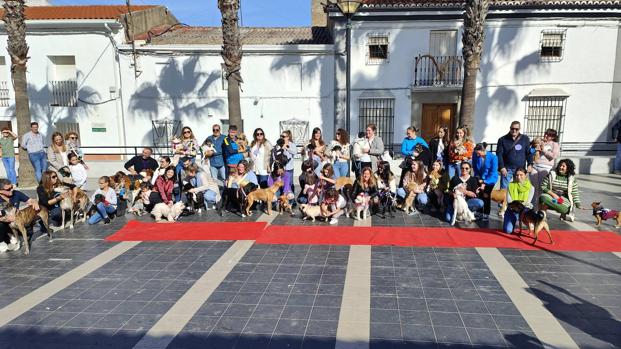Amaval celebra la tercera edición del Desfile Canino