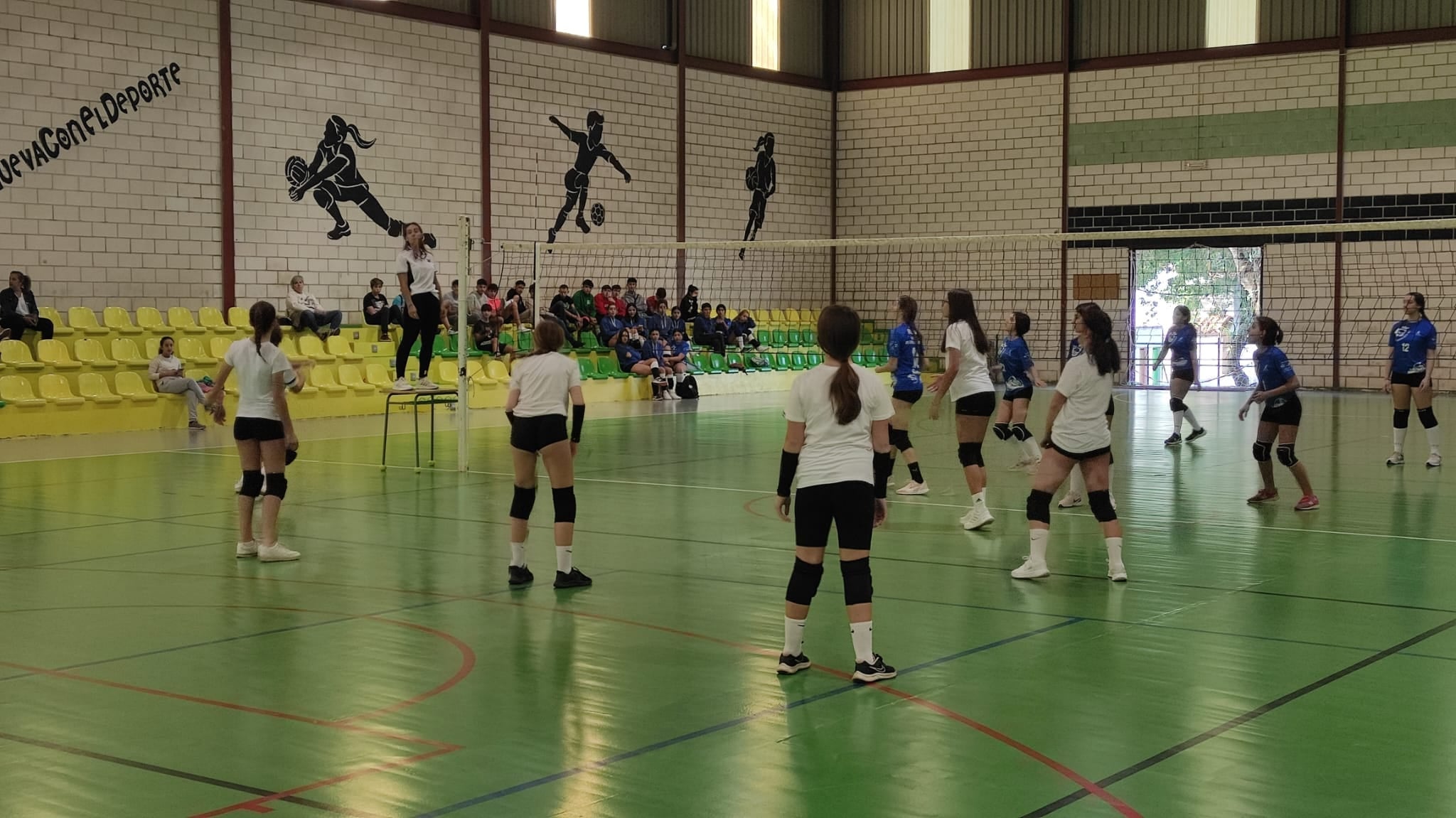 Los equipos de voleibol se estrenan en liga con derrotas