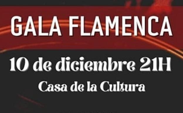 Esta noche nueva gala flamenca en la Casa de la Cultura