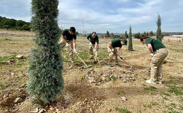 Se aprueba el Colaborativo Rural 'Valverde Green II'