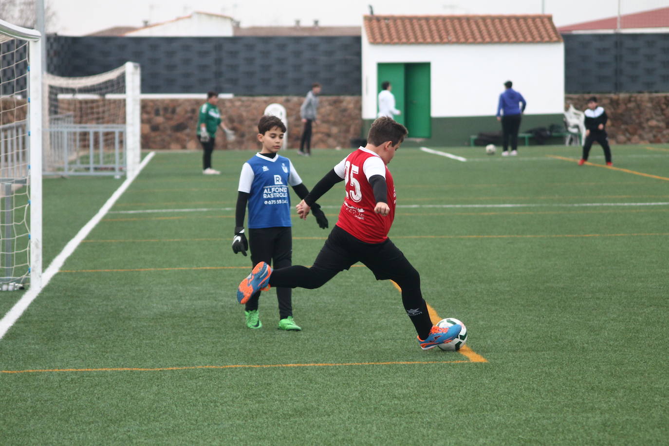 Alevines B - Alevines B