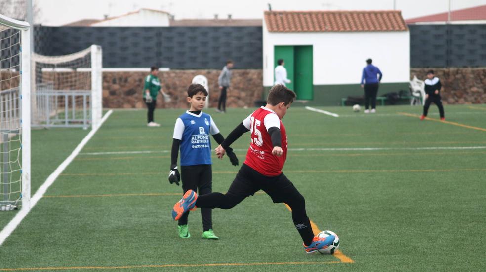 Alevines B - Alevines B