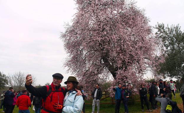 El Almendro, Real protagonista durante todo el fin de semana
