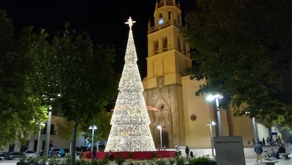 Todas las barriadas dispondrán este año de un pino navideño