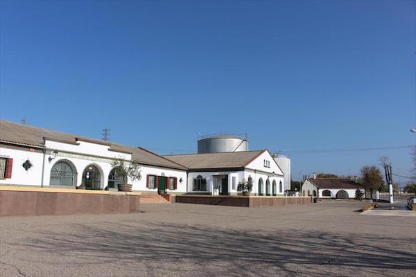 El Patrimonio Comunal Olivarero cerrará el almacén que tiene en Villafranca de los Barros
