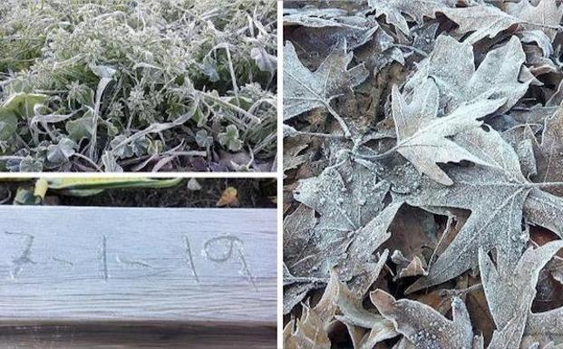 Extremadura vuelve a marcar temperaturas bajo cero este martes, Villafranca ha sido hoy martes la segunda más fría de la región (con 3,7 grados bajo cero)