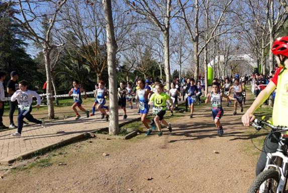 Más de 200 niños participaron en Villafranca de la Liga TD Judex Menores
