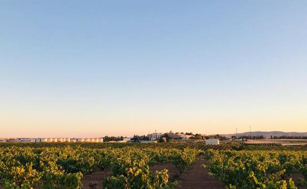 Villafranca suma dos nuevos positivos de Covid-19