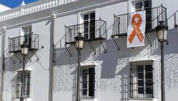 Los socialistas exigen al alcalde la retirada del lazo contra la LOMLOE del Ayuntamiento