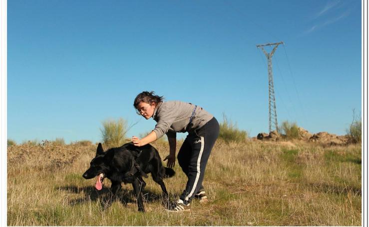 Amus inmerso en el proyecto para el rastreo de aves electrocutadas a través de perros