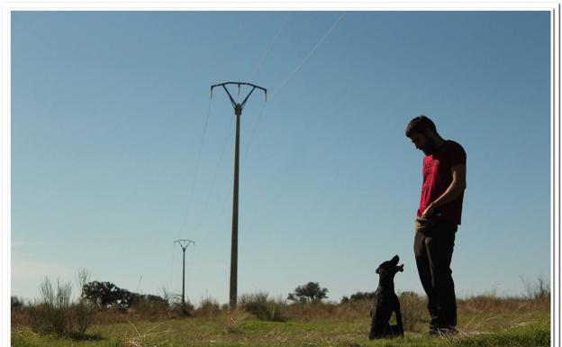 Amus, inmerso en el proyecto para el rastreo de aves electrocutadas a través de perros