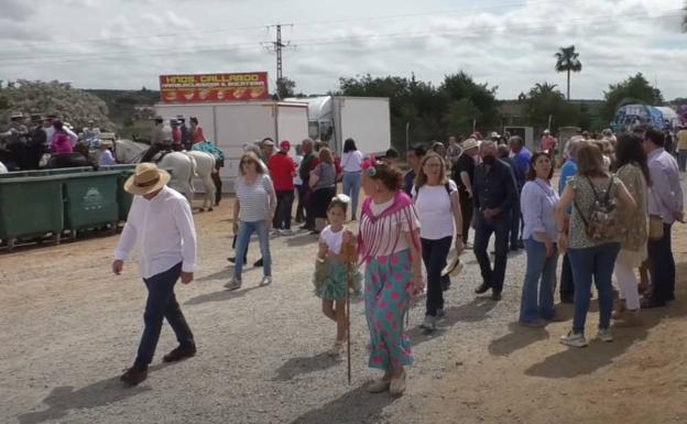 Festejos hace un balance «muy positivo» de la pasada romería de San Isidro