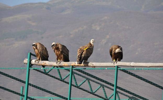 Extremadura se visibiliza en Europa como una comunidad que genera y exporta Biodiversidad