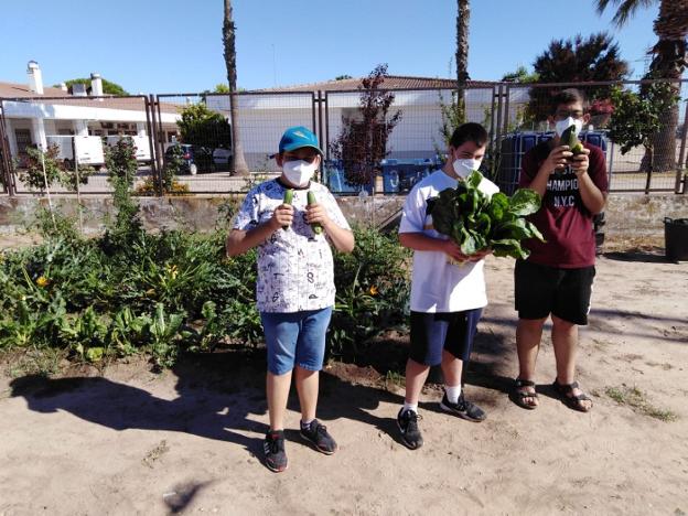 Trece usuarios de Villanueva se divierten en la escuela de verano de Inclusives
