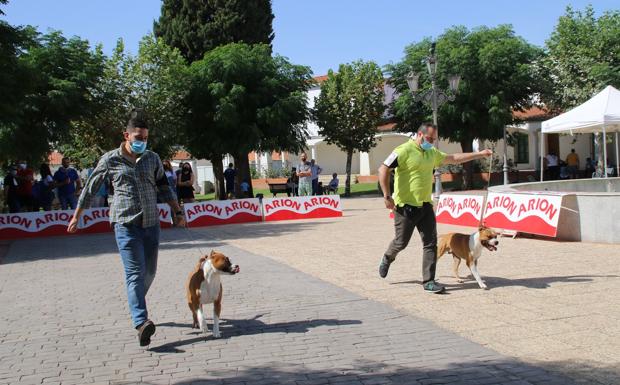 Participantes en el Concurso Canino Nacional. 