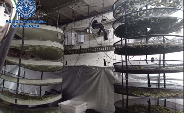 Detenido un hombre por cultivar marihuana dentro de un camión en la Polígono La Barca