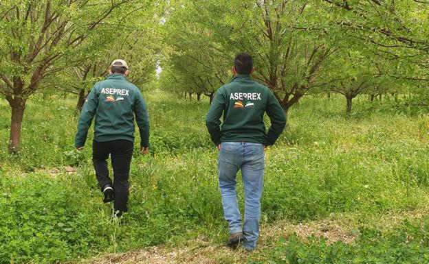 Aseprex pide que la penalización por exceso de consumo hídrico se aplique de forma escalonada