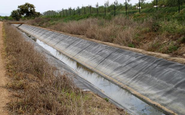 Agryga pide a la Junta poner 15 millones de euros a disposición de los agricultores que no van a regar