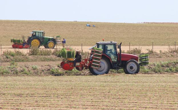 Constituido el Consejo Agrario Municipal en apoyo al sector