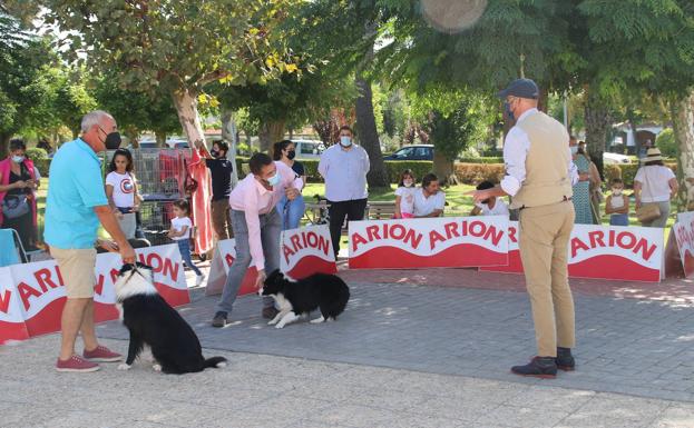 El concurso nacional canino será el 11 de septiembre en Entrerríos