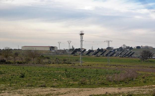 El Ayuntamiento repartirá las acciones pertenecientes a los frutales y la central fotovoltaica