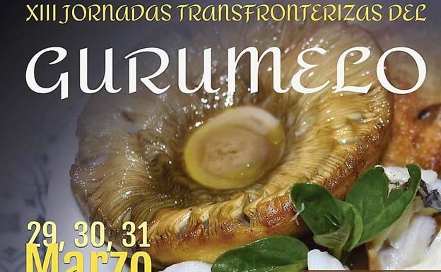 La Diputación defiende que El Gurumelo sea fiesta de Interés Turístico Regional