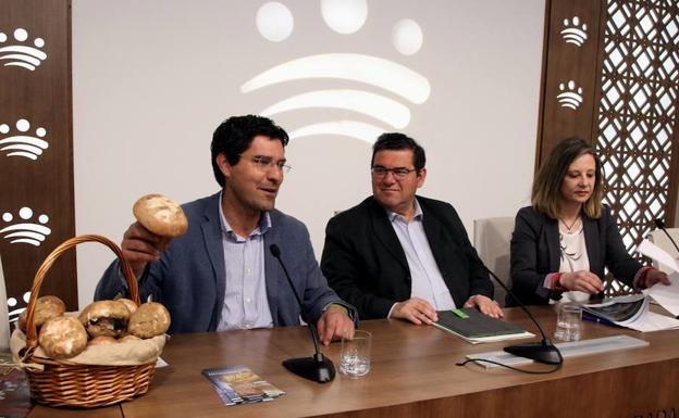 Presentadas las XIII Jornadas Transfronterizas del Gurumelo en la Diputación de Badajoz