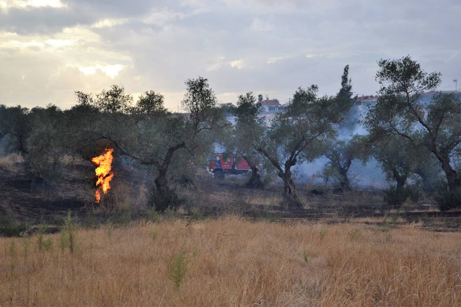 Activada la Época de Peligro Alto de incendios forestales del Plan INFOEX