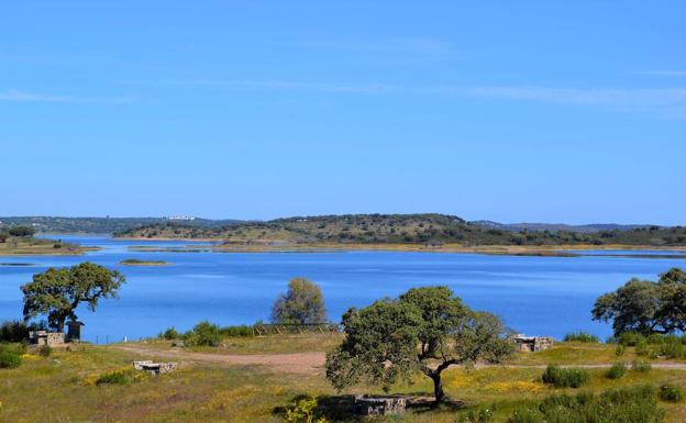 La Sociedad Alcarrache organiza el II Maratón de pesca de la Feria de San Ginés