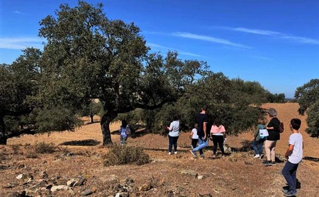Los vecinos han apadrinado una treintena de encinas a través del proyecto de AUPEX