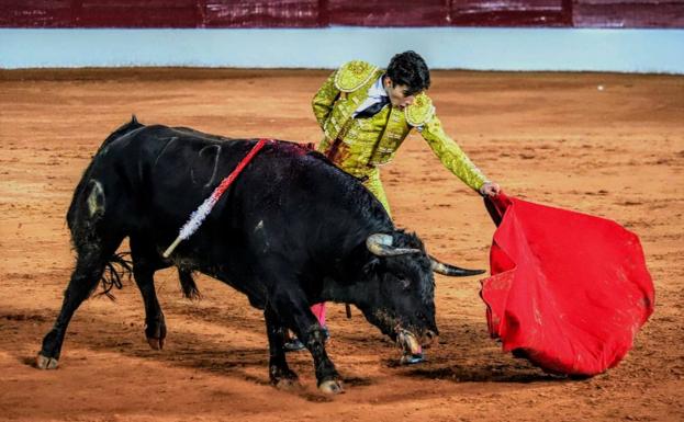 Manuel Perera acapara titulares en la prensa nacional e internacional con su debut triunfal en Olivenza