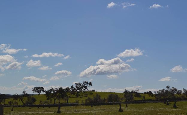 El campo recibe más de 26 millones en ayudas de la PAC