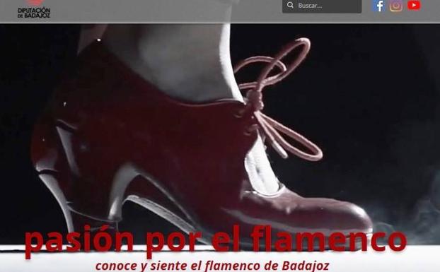 La Diputación acerca el flamenco a todos los aficionados a través de una web