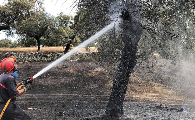 Ya están disponibles las declaraciones responsables para desarrollar las actividades que puedan originar incendios