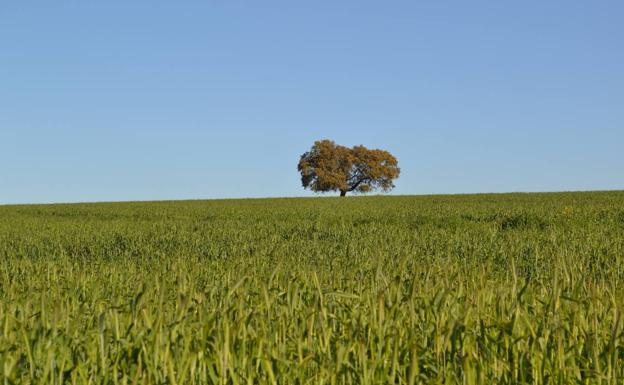 Publicadas las resoluciones de solicitudes de explotaciones agrarias prioritarias