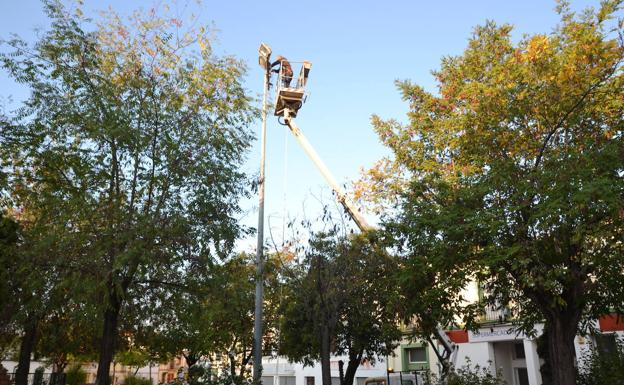 Continúan los trabajos de sustitución de luminarias en la localidad