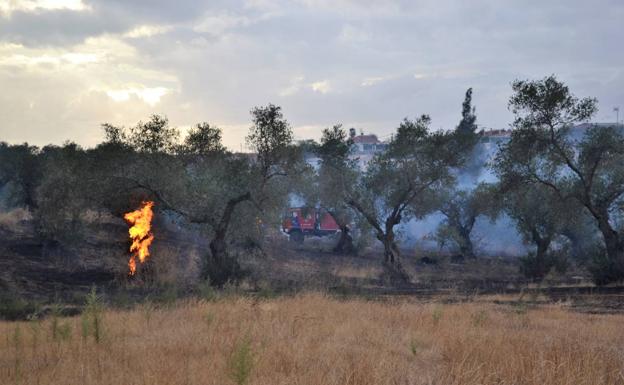 El Infoex encara con precaución los últimos días de Peligro Alto de Incendios