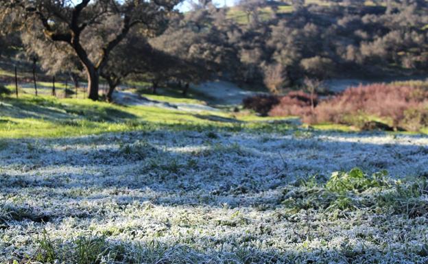 Llegan temperaturas gélidas a la localidad tras la borrasca Filomena