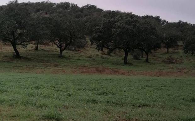 Rescatado un hombre cuyo coche quedó atascado en el barro en la finca de Los Jarales
