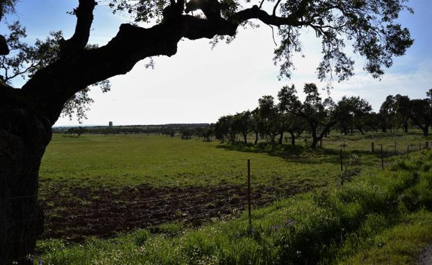 Publicadas las listas de beneficiarios de ayudas a la mejora de explotaciones y jóvenes agricultores