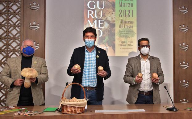 Presentada en Diputación la XV edición de la Feria del Gurumelo Virtual