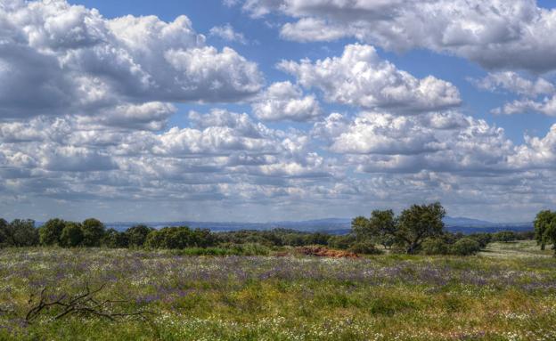 La AEMET prevé una primavera con temperaturas superiores a los valores normales