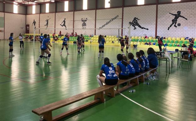 Victorias de los equipos de Infantil y Cadete en las concentraciones de voleibol en Cáceres y Villanueva