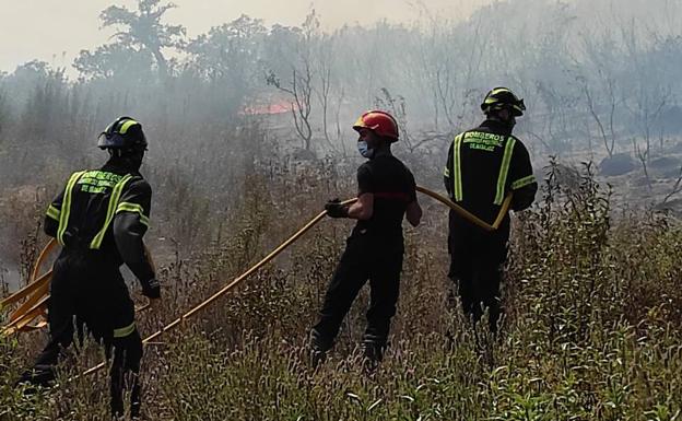 Sofocado un incendio que ha calcinado ocho hectáreas en la finca 'La Quintana'