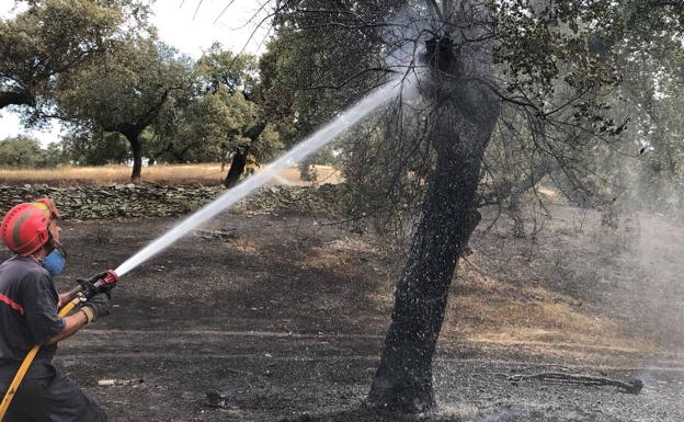 Activada la Época de Peligro Alto de incendios forestales del Plan INFOEX